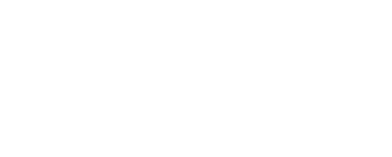Logo der Praxis Schirru.